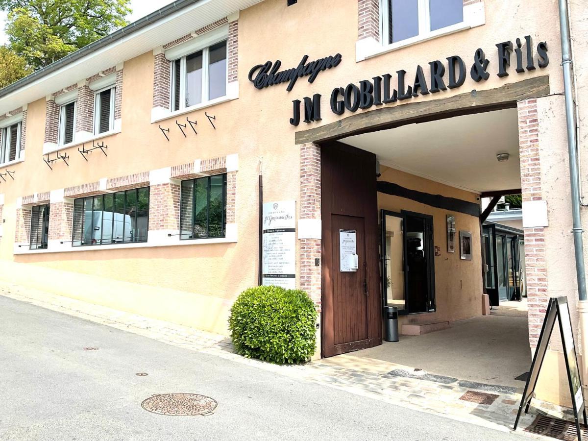 Les Loges Du Theatre Degustation Champagne Offerte Jacuzzi Sauna Jeux Velos Maison Prive 150M2 Historique 14Pers Max Emplacement Exceptionnel Et Chic, 200M De L'Avenue De Champagne, Gare, Musee, Jardins, Restaurations, Toutes Commodites Épernay Exterior foto
