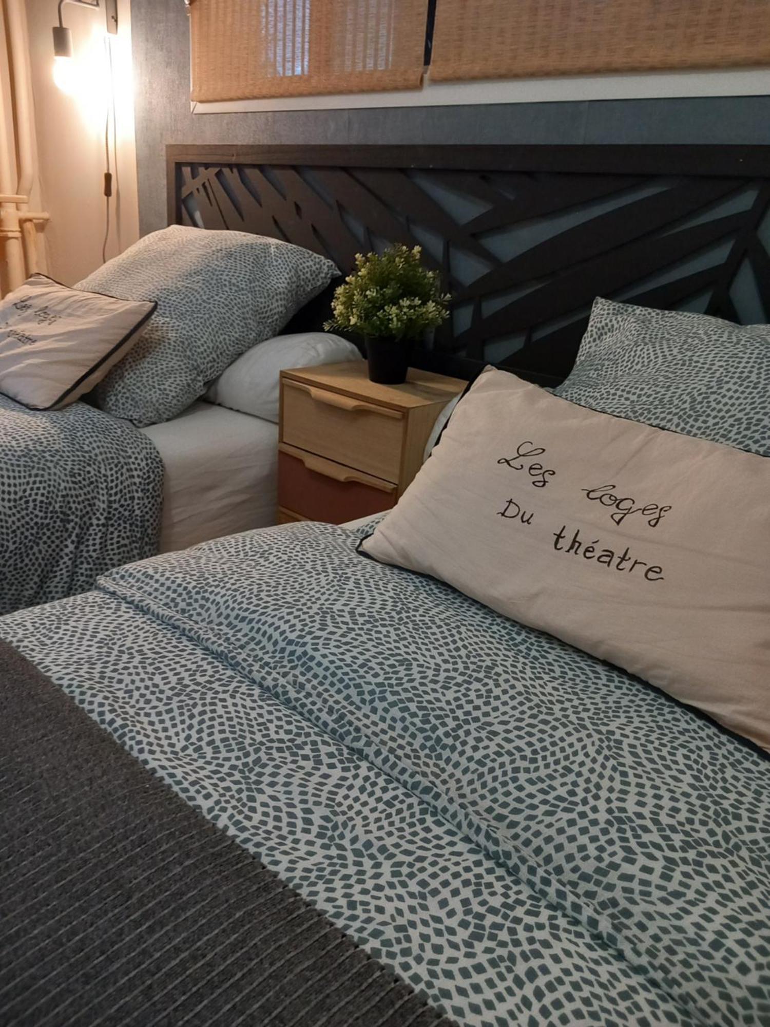 Les Loges Du Theatre Degustation Champagne Offerte Jacuzzi Sauna Jeux Velos Maison Prive 150M2 Historique 14Pers Max Emplacement Exceptionnel Et Chic, 200M De L'Avenue De Champagne, Gare, Musee, Jardins, Restaurations, Toutes Commodites Épernay Exterior foto