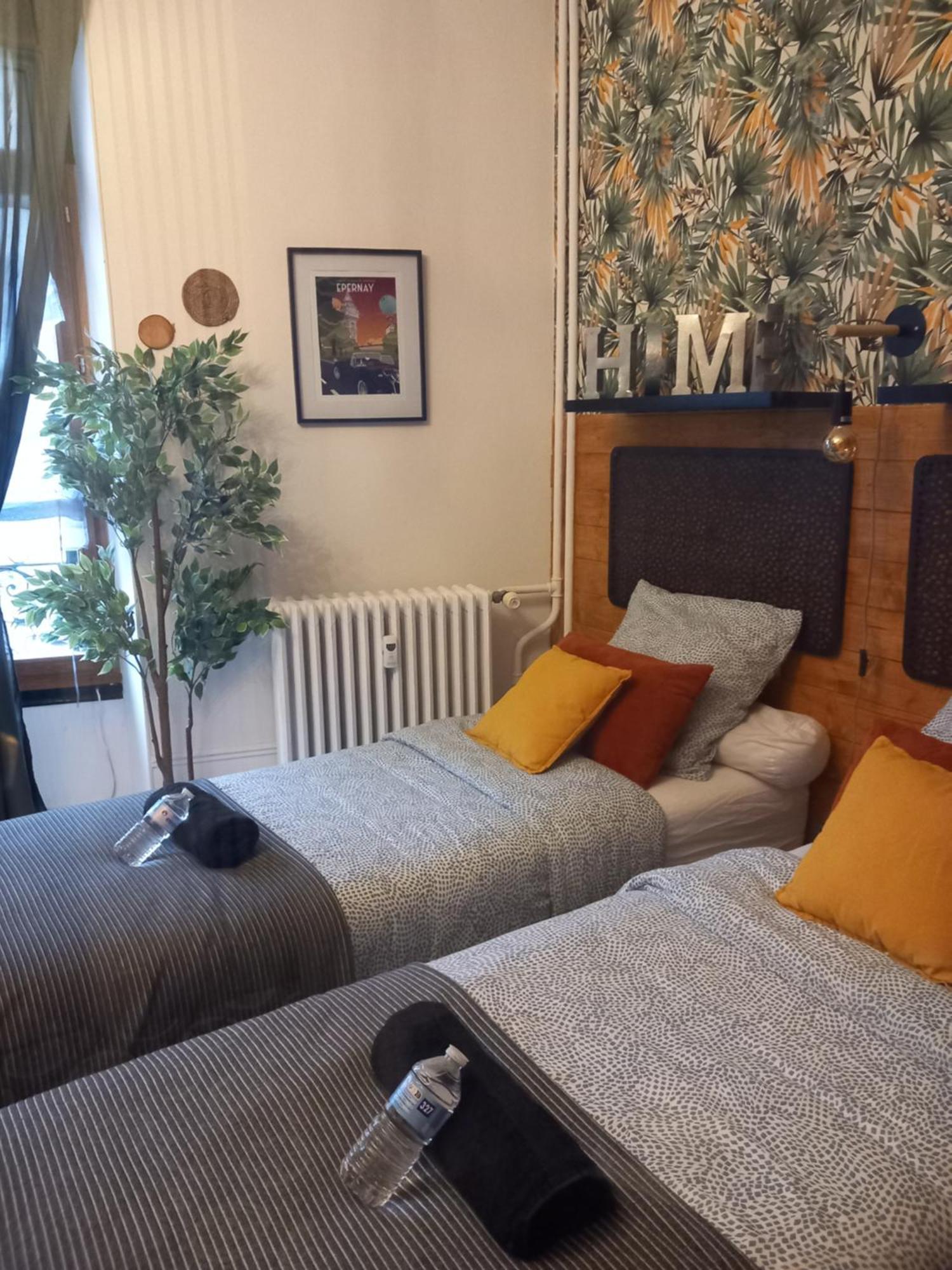 Les Loges Du Theatre Degustation Champagne Offerte Jacuzzi Sauna Jeux Velos Maison Prive 150M2 Historique 14Pers Max Emplacement Exceptionnel Et Chic, 200M De L'Avenue De Champagne, Gare, Musee, Jardins, Restaurations, Toutes Commodites Épernay Exterior foto